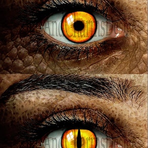 Ojos de cristal, Ojos humanos, Ojos de dragón, Ojos fantasía, Steampunk, Ojos reptilianos, Ojos de gato, Hecho a mano, Alta calidad DE070 imagen 7