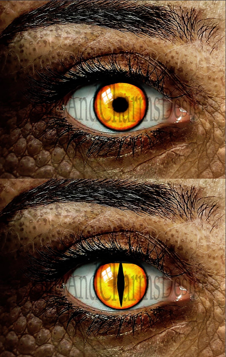 Ojos de cristal, Ojos humanos, Ojos de dragón, Ojos fantasía, Steampunk, Ojos reptilianos, Ojos de gato, Hecho a mano, Alta calidad DE070 imagen 7