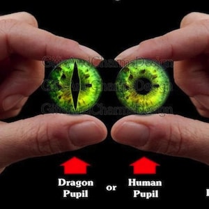 Olhos de vidro - olhos de dragão, olhos de fantasia, steampunk, olhos de réptil, olhos de gato, olhos humanos, feitos à mão, cabochões de alta qualidade DE086
