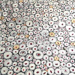 Patchworkstoff Kaffe Fassett 60cm PWGP182 Button Mosaic white Stoff Quilten reine Baumwolle Patchwork Nähen