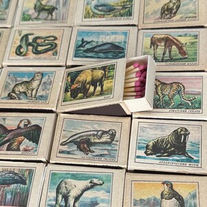 May include: A vintage matchbox featuring colourful illustrations of different animals on each matchstick. The matchbox is made of cardboard and has a blue and white design.