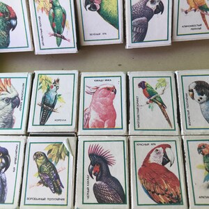 May include: A set of matchbox labels featuring colorful illustrations of various parrots. Each label includes the name of the parrot species in Russian, such as "Kakadu Inka" and "Klinohvostyi Popugai".