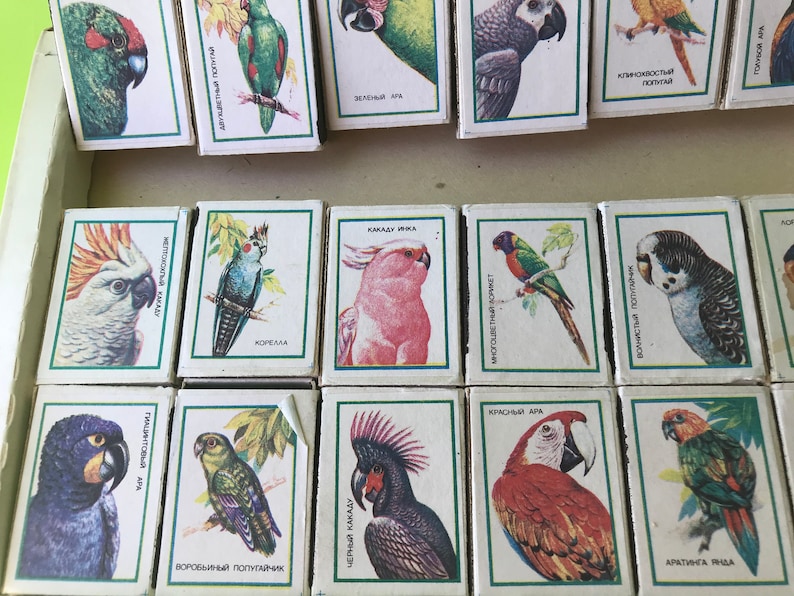 May include: A set of matchbox labels featuring colorful illustrations of various parrots. Each label includes the name of the parrot species in Russian, such as "Kakadu Inka" and "Klinohvostyi Popugai".