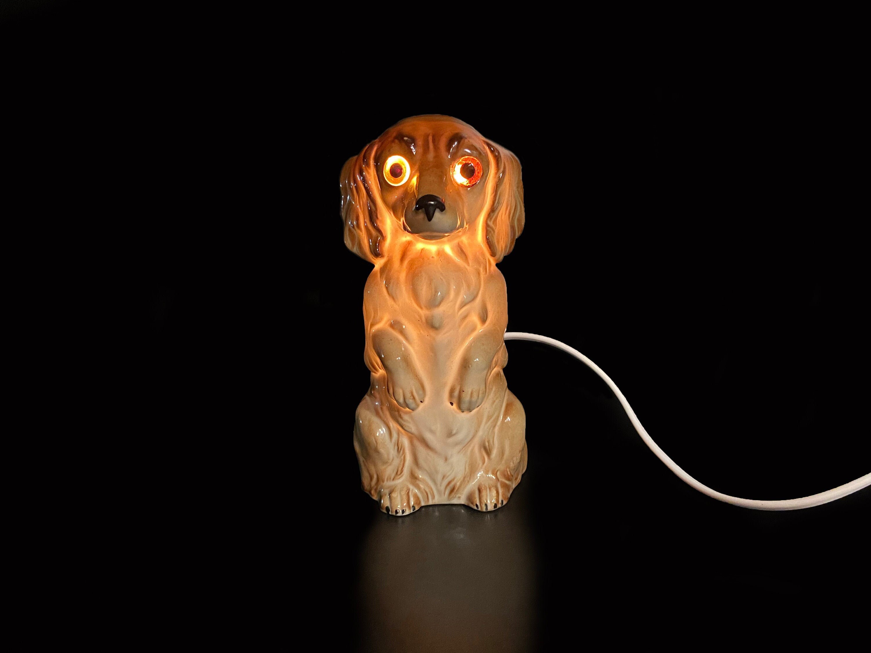 Do Dogs Need Night Lights