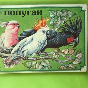 May include: A vintage illustration of three parrots on a branch. The parrots are a pink and white cockatoo, a white cockatoo with orange feathers on its head, and a black cockatoo with a red beak. The illustration is on a green background with the word "попугай" written in Cyrillic letters at the top.