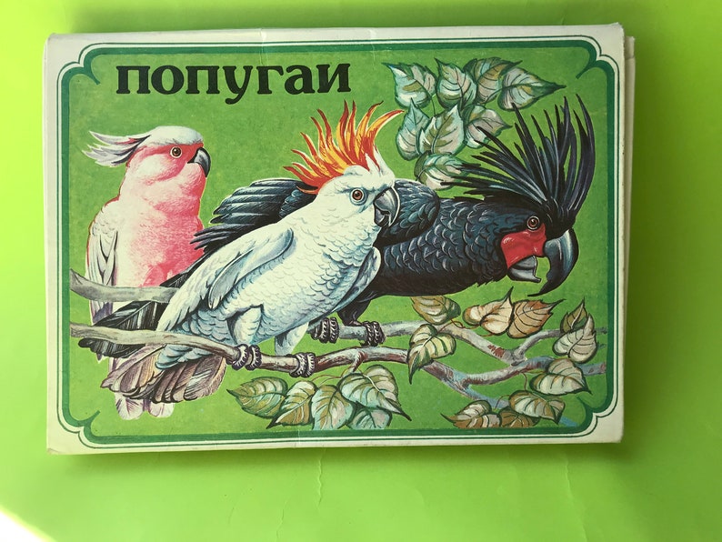 May include: A vintage illustration of three parrots on a branch. The parrots are a pink and white cockatoo, a white cockatoo with orange feathers on its head, and a black cockatoo with a red beak. The illustration is on a green background with the word "попугай" written in Cyrillic letters at the top.