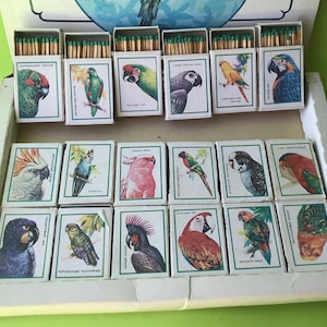 May include: A box of matchbooks with colorful illustrations of parrots. Each matchbook features a different parrot species with its name printed below. The matchbooks are arranged in rows and columns, creating a visually appealing display.