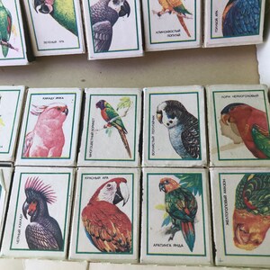 May include: A set of 12 matchboxes featuring colorful illustrations of different types of parrots. Each matchbox has a different parrot species with its name written in Russian on the front. The matchboxes are arranged in a grid pattern.