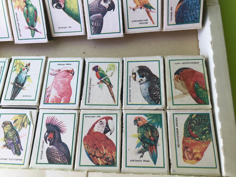 May include: A set of 12 matchboxes featuring colorful illustrations of different types of parrots. Each matchbox has a different parrot species with its name written in Russian on the front. The matchboxes are arranged in a grid pattern.
