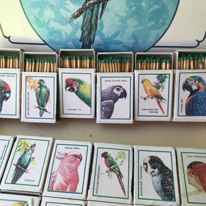 May include: A set of matchboxes with colorful illustrations of different types of parrots. Each box has a different parrot species and the name of the species in Russian. The boxes are arranged in two rows.