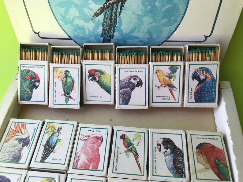 May include: A set of matchboxes with colorful illustrations of different types of parrots. Each box has a different parrot species and the name of the species in Russian. The boxes are arranged in two rows.