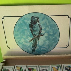 May include: A box of matchbooks featuring a blue and green parrot on a branch. The box has a white background with a blue circle around the parrot. The matchbooks are arranged in rows and have different colored birds on them.