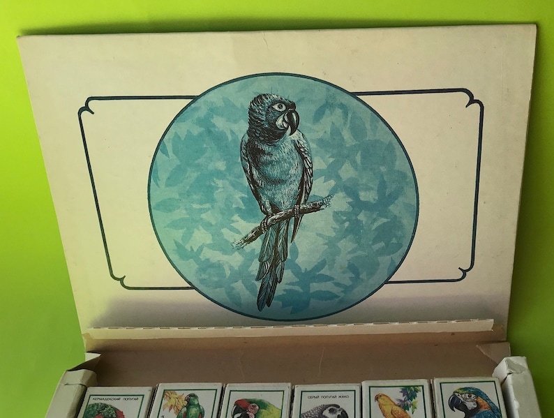 May include: A box of matchbooks featuring a blue and green parrot on a branch. The box has a white background with a blue circle around the parrot. The matchbooks are arranged in rows and have different colored birds on them.