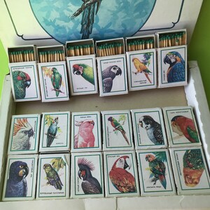 May include: A box of matches with colorful images of different types of parrots on each matchbox. The matchboxes are arranged in a grid pattern. The matchboxes are labeled with the names of the parrots in Russian.