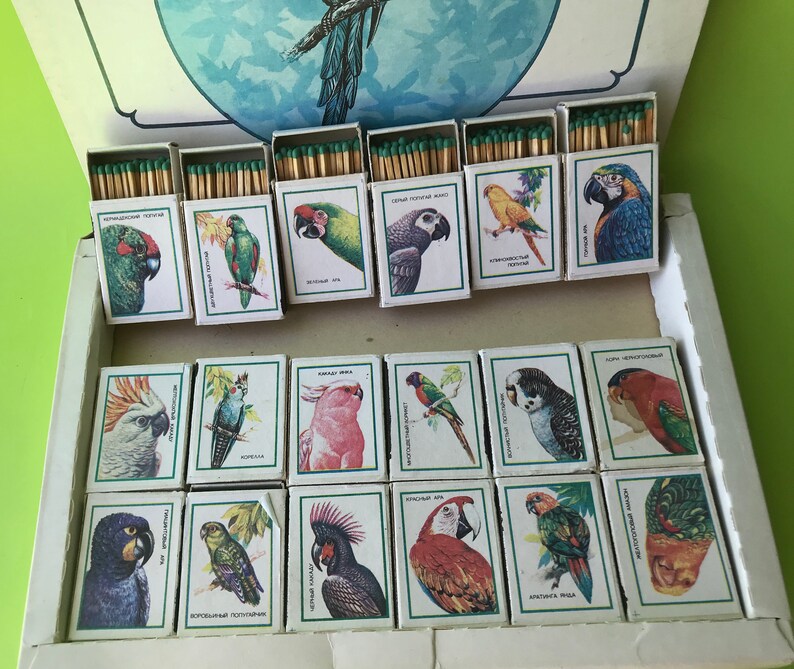 May include: A box of matches with colorful images of different types of parrots on each matchbox. The matchboxes are arranged in a grid pattern. The matchboxes are labeled with the names of the parrots in Russian.
