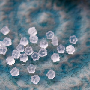 Könnte beinhalten: Nahaufnahme von kleinen, weißen, blütenförmigen Salzkristallen, die auf einer blauen und weißen Keramikfläche verstreut sind.