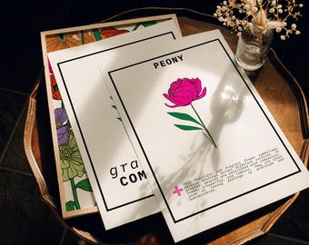 Peony Flower Art Print Set: Grateful Compassion Wall Decor