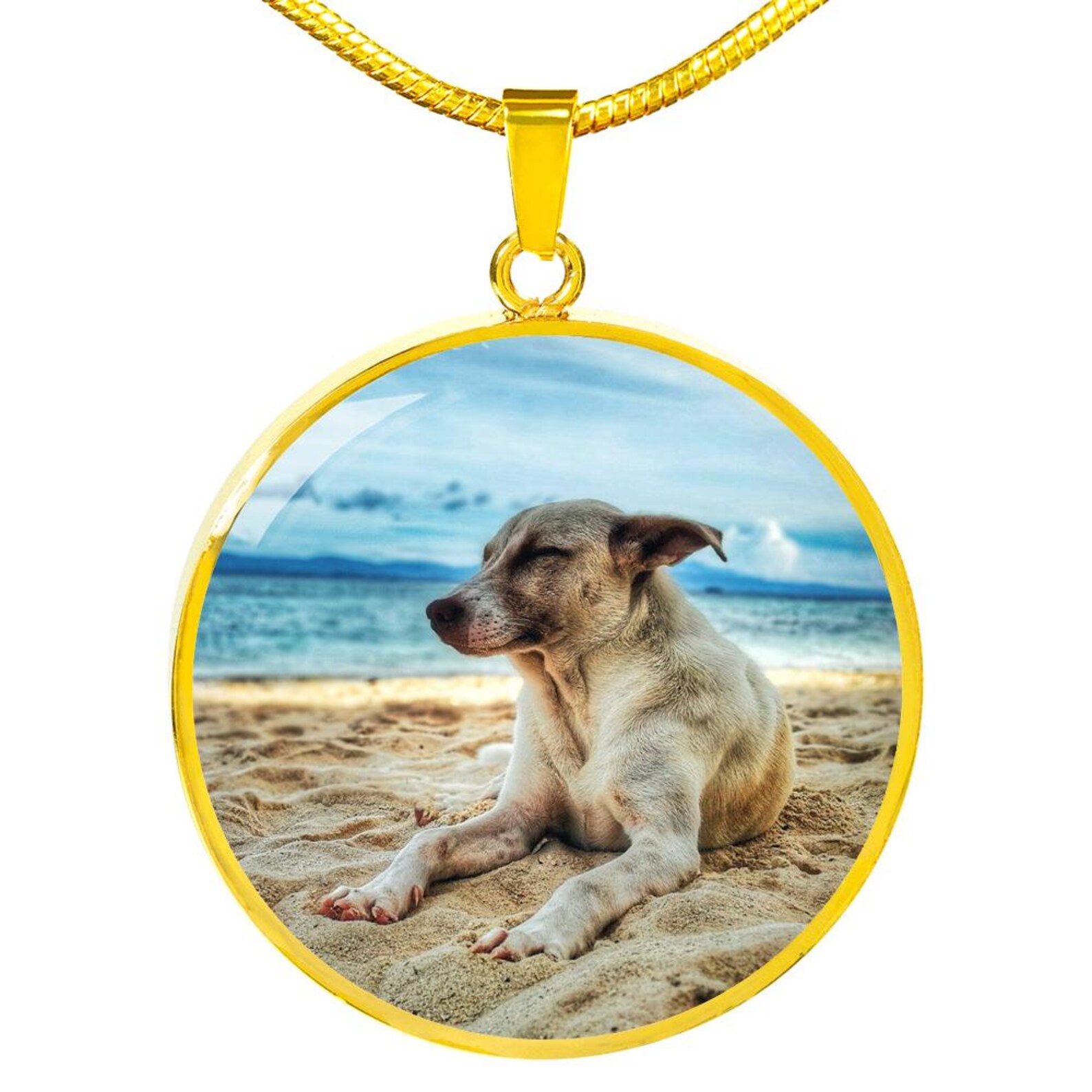 Collier commémoratif personnalisé pour chiens cadeau souvenir Etsy France