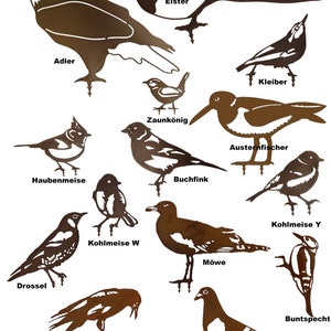 verschiedene Vögel, Edelrost und Edelstahl Deko Meise, Buntspecht, Buchfink, Elster, Adler, Kleiber, Drossel, Austernfischer, Taube, Kakadu Bild 2