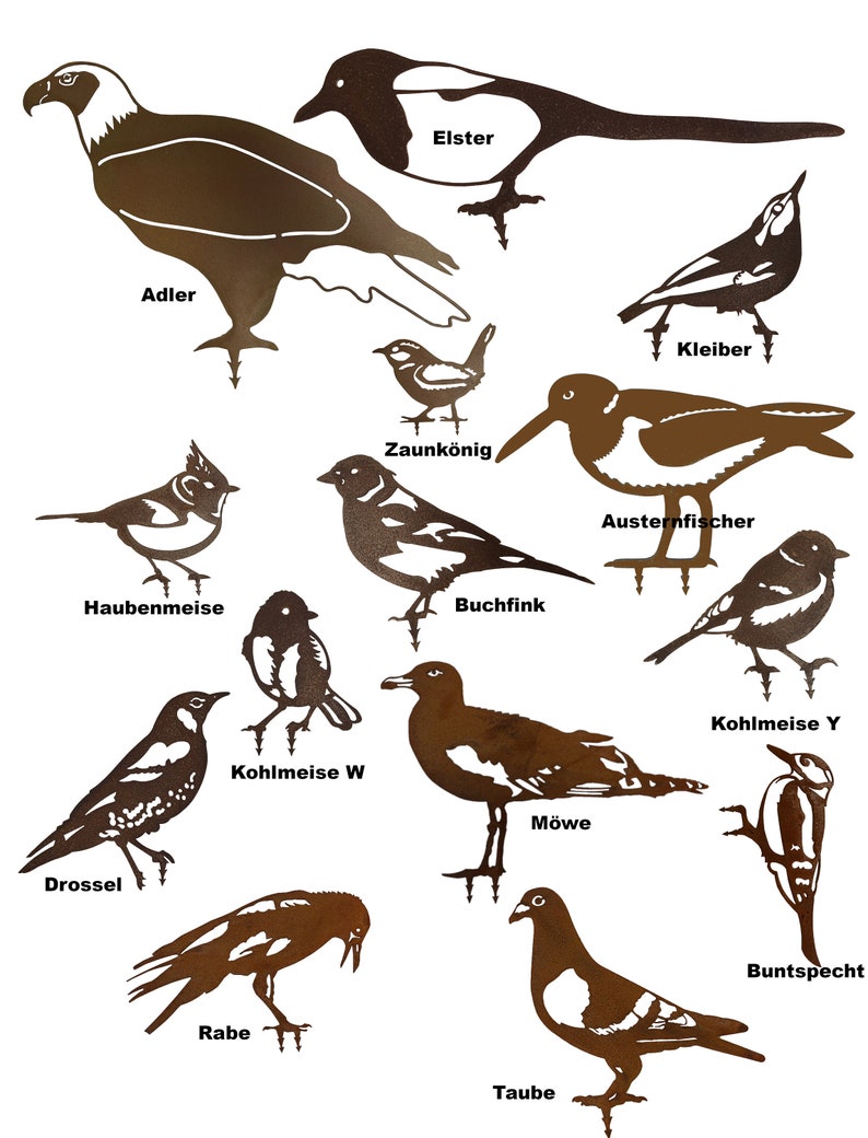 verschiedene Vögel, Edelrost und Edelstahl Deko Meise, Buntspecht, Buchfink, Elster, Adler, Kleiber, Drossel, Austernfischer, Taube, Kakadu Bild 2