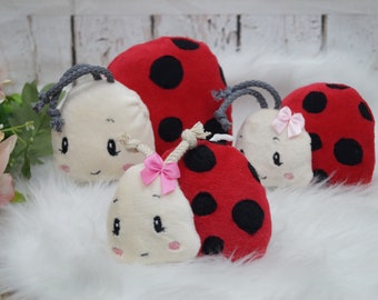 Embroidery file ITH ladybug pillow