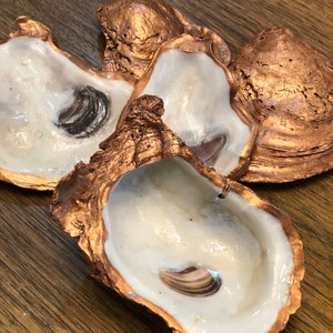 Rose gold copper oyster shell