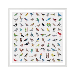 Bird Cross Stitch Patroon (Instant download, Digitaal Formaat, PDF) - Moderne Cross Stitch Chart met vogels in overvloed door Tiny Cross Stitch Co