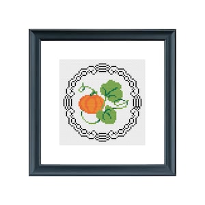 May include: A framed cross-stitch design featuring a small orange pumpkin with green leaves and vines, surrounded by a black and white decorative border.
