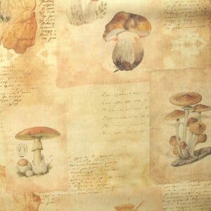 Peut inclure: Une illustration vintage de champignons sur un fond de texte manuscrit ancien. Les champignons sont dessinés dans des tons de brun et de beige. Le texte est en écriture cursive et semble être en langue étrangère.