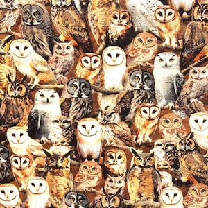 Puede incluir: Un diseño de tela con una densa disposición de varias especies de búhos. Los búhos muestran una gama de colores, incluyendo marrón, blanco y beige, con patrones de plumas detallados. El fondo es de un tono cálido y terroso, creando un diseño cohesivo.