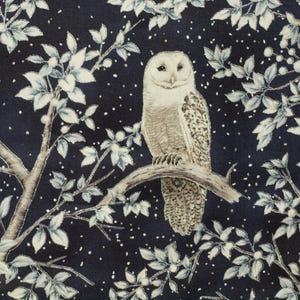 Könnte beinhalten: Detaillierte Illustration einer Schleiereule auf einem Ast, vor einem dunkelblauen Hintergrund mit weißen Blättern und kleinen weißen Punkten. Die Eule hat ein hellbraunes und weißes Gefieder.