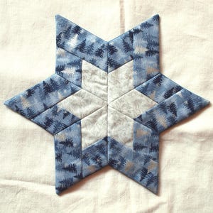Può includere: Un ornamento a forma di stella trapuntata. La stella presenta un design patchwork con tessuto blu stampato con un motivo a foresta e tessuto grigio chiaro. L'ornamento è un oggetto decorativo, forse per le vacanze o l'arredamento della casa.