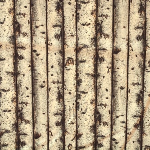 Könnte beinhalten: Eine Nahaufnahme einer Wand aus vertikalen Holzbrettern. Die Bretter sind weiß gestrichen mit braunen Markierungen, die der Rinde eines Birkenbaums ähneln.