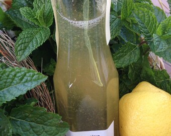 Sirop de citron (250 ml)