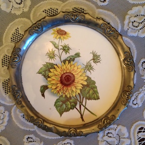 beautiful porcelain plate