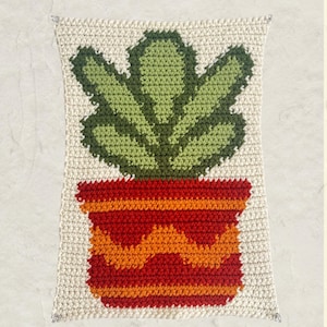 Succulent, Snake Plant, Decorative Pot, Crochet Tapestry, Wall Hanging Pattern Graph | PDF Download