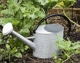 Great watering can, 5 liters with shower, zinc, gray, oval, metal, country house