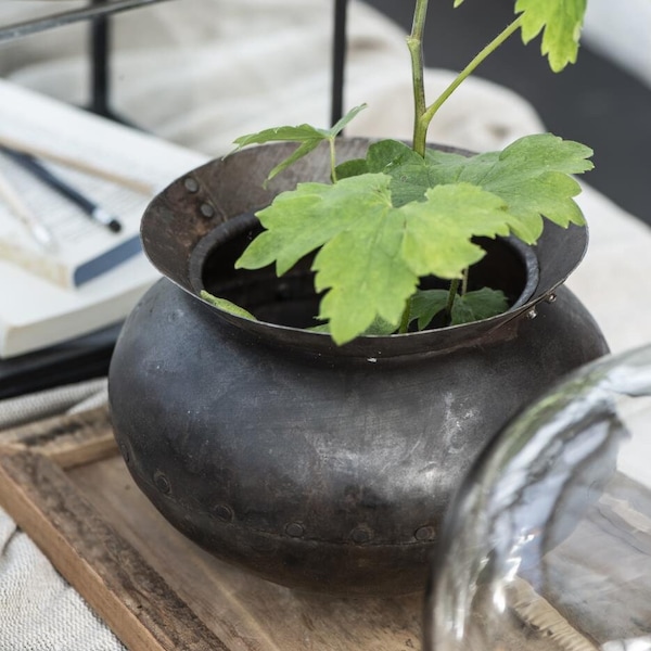 Vieux pot en fer, pot de plantes, vase, minable, cruche en fer, usine, vintage, brocante