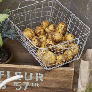 Puede incluir: Una cesta de alambre de metal llena de patatas amarillas. La cesta está sentada en una caja de madera con las palabras "Fleur 57 TR" pintadas en la parte delantera.