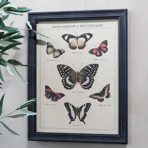 Bild, Schmetterlinge, Leinen, Vintage Stil, Holzrahmen, Landhaus, shabbychic