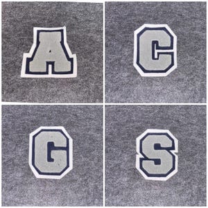 May include: Four individual gray felt letter patches: A, C, G, and S. Each letter has a navy blue border and a white outline. The patches are displayed on a gray felt background.