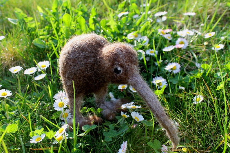 gefilzter Kiwi Karl, filz Kiwi, Kiwi Vogel gefilzt,Neuseeland Bild 2