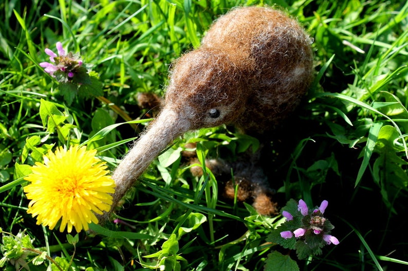 gefilzter Kiwi Karl, filz Kiwi, Kiwi Vogel gefilzt,Neuseeland Bild 3