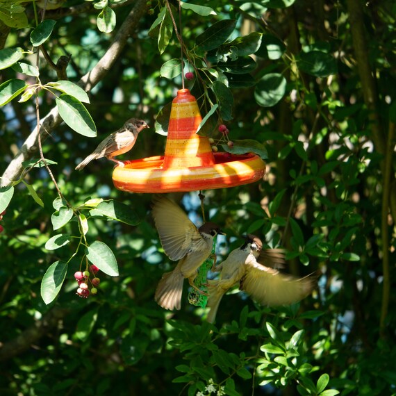 Cat Proof Bird Potions To Hang Up Etsy