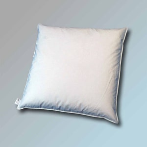 Op de afbeelding: Een wit kussen met een lichtblauwe rand. Het kussen is gemaakt van een zacht, comfortabel materiaal en is perfect om op te slapen.