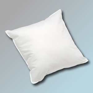 50 x 60 cm filling cushion with 900 g feather filling sofa cushion inner cushion feather cushion cuddly cushion in white white blanc bianco