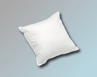 Coussin 25 x 25 cm 130 g en rembourrage blanc coussin canapé coussin intérieur coussin plume