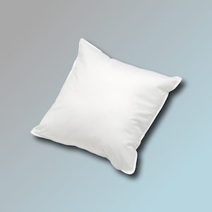 40 x 40 cm down pillow with different filling amounts from soft 200g to plump 500g filling pillow inner pillow image 1
