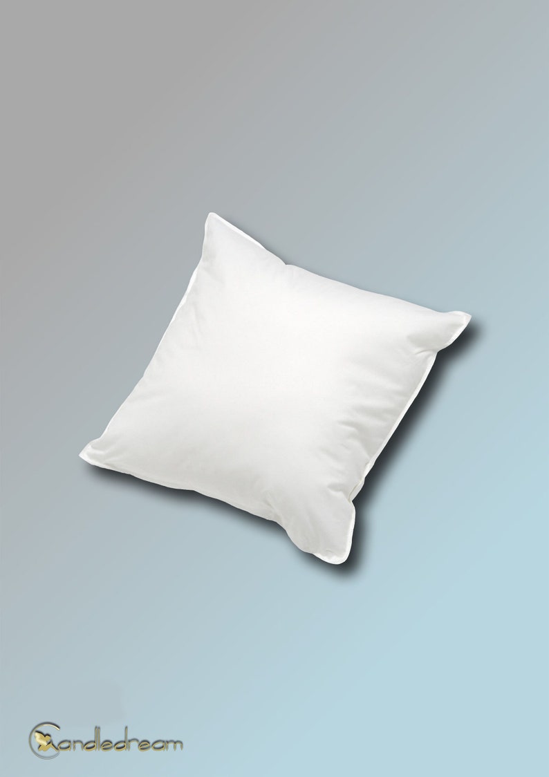 40 x 40 cm down pillow with different filling amounts from soft 200g to plump 500g filling pillow inner pillow image 1