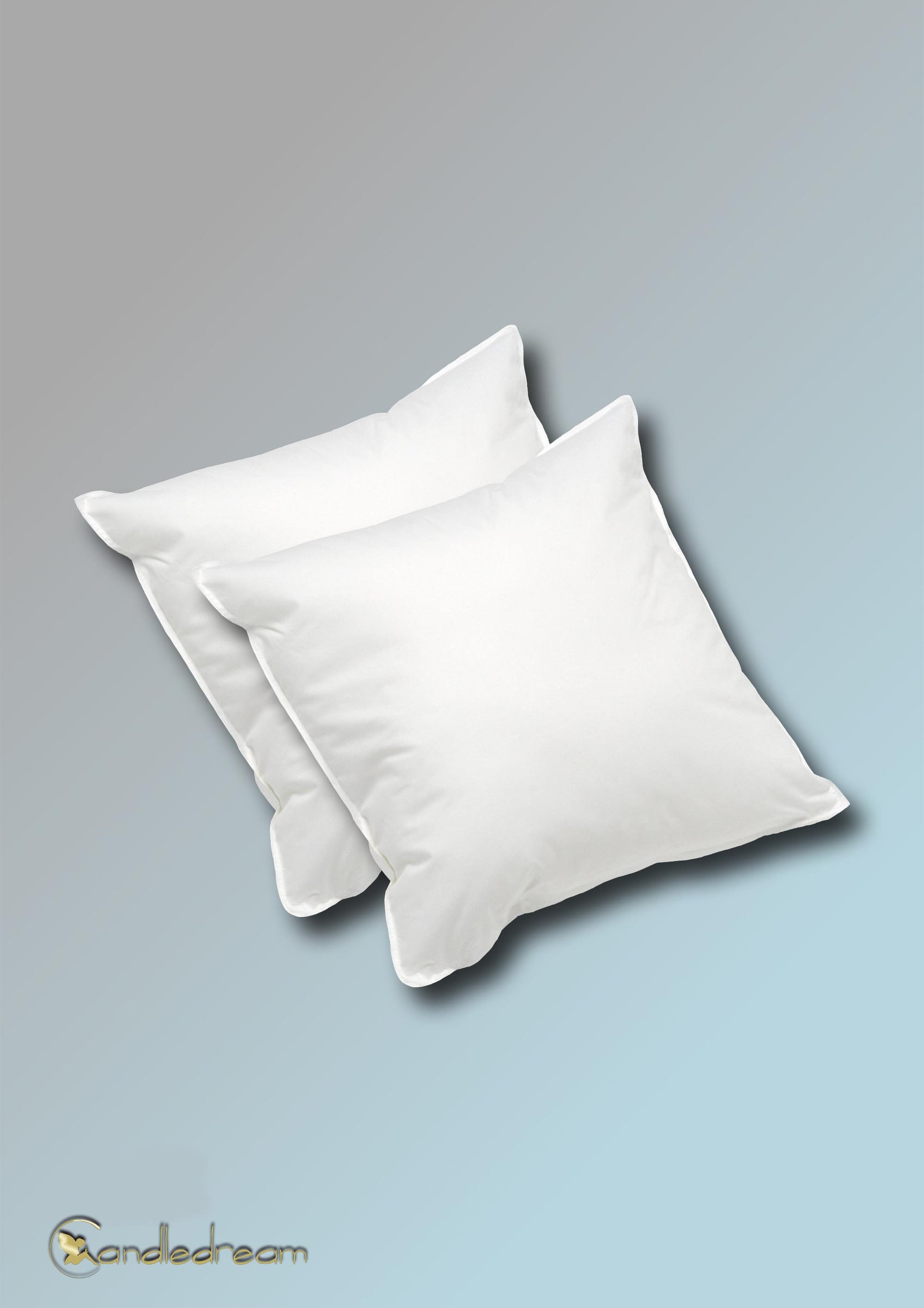 recron cushions 24x24